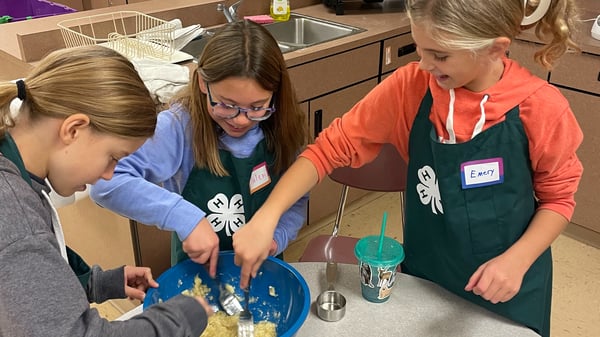 Image for Cooking Camp with Winona county 4-H (3rd-5th grade)