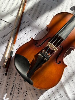 Image for Suzuki Winter Term Chamber Music 60 Minutes