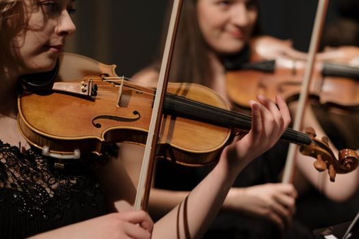 Picture for: Suzuki Fall Term Chamber Music 30 Minutes