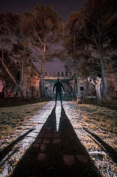 A lone figure stands silhouetted at night before an old, eerie manor surrounded by trees.