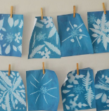 Picture for: Mrs. Peterson Art Class: Sun Projects! Cyanotypes & Sun Catchers