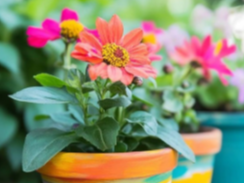 Picture for: Mrs. Peterson's Art Class: Mother's & Father's Day Gifts