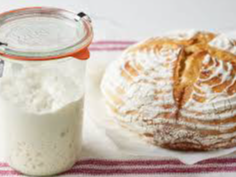 Image for Sourdough 101