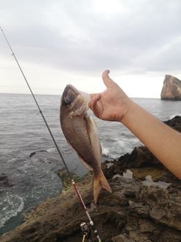Picture for Fishing Fun at Pena Blanca Lake