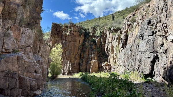 Picture for: Aravaipa Backcountry Trek