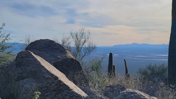 Picture for: HS Wasson Peak Hike
