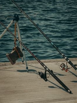 Picture for Urban Fishing