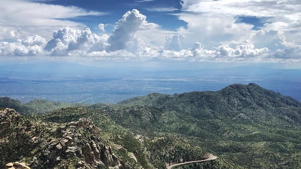 Picture for: Trailblazers of the Sky Islands