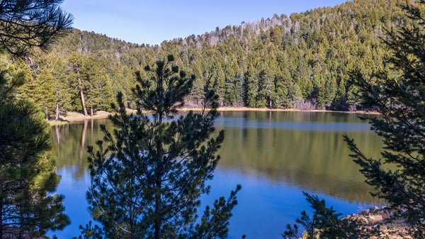 Image for Wilderness Wayfinders: A Mt. Graham Adventure