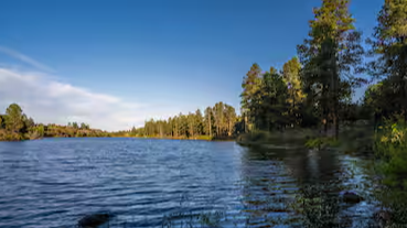 Picture for: Alpine Anglers: White Mountain Expedition