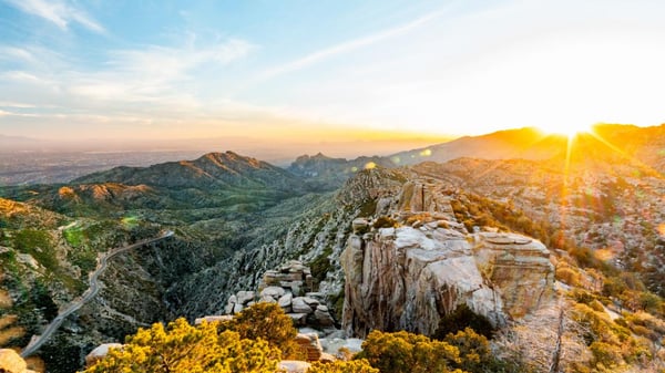 Picture for: Mt Lemmon Bound: Exploring the Sky Islands