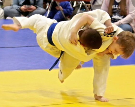 Picture for: Judo - Nashwauk