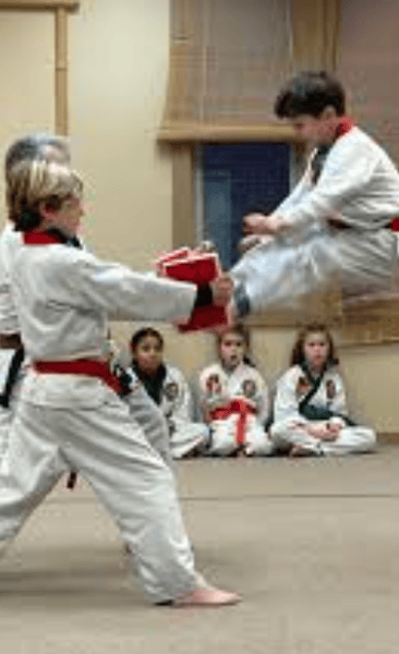 Picture for: Martial Arts