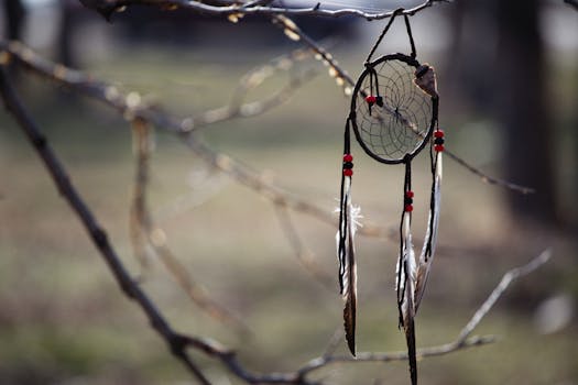 A handmade dream catcher with feathers and beads hangs from a leafless tree branch.