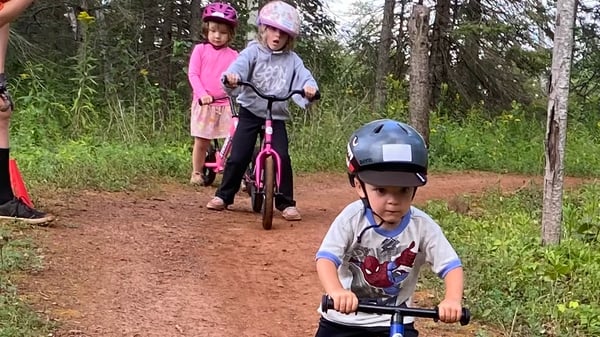 Picture for Shred Tioga Mountain Bike Lessons