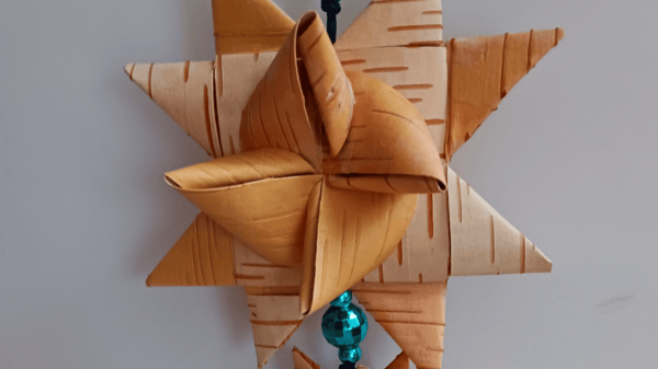 Course Birch Bark Star image 1
