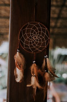 Picture for: Dream Catchers
