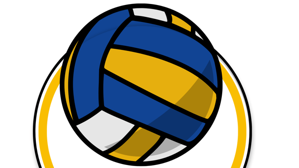Picture for: Bigfork Puppy Volleyball