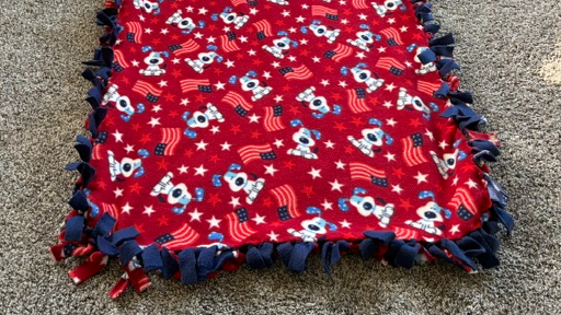 Course Make A Fleece Blanket image 1