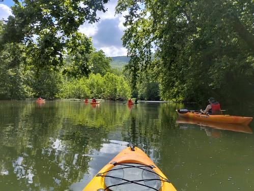 Image for Kayaking Experience