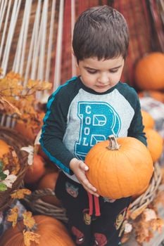 Image for Pumpkin Patch in the Park