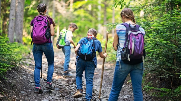 Picture for Nature and Outdoor Fun