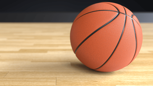 Image for Skyhawks Basketball