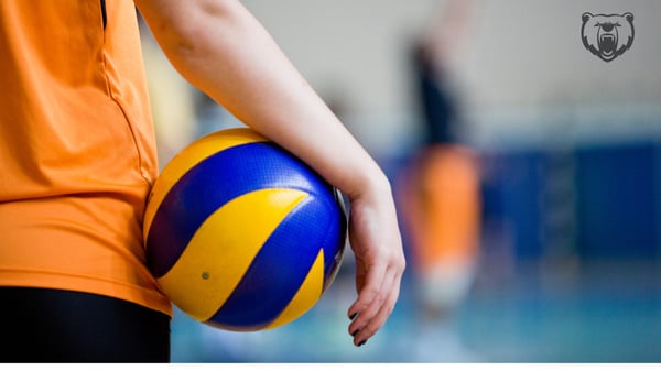 Picture for Volleyball