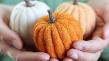 Course Wool Needle Felting Workshop image 1