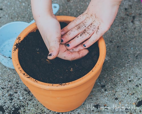Gardening with the Granddaughters