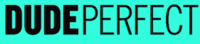 Picture for: mini DUDE PERFECT