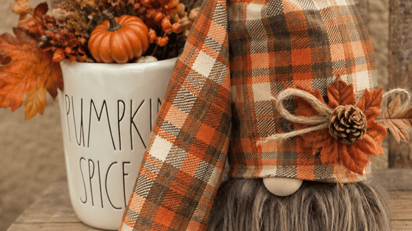 Picture for: Fall Gnomes