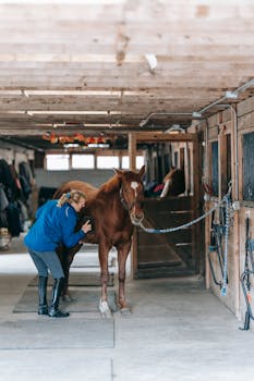 A woman in a blue jacket grooms a horse inside a rustic wooden stable.