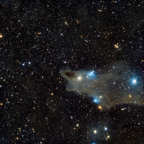 LDN1235, The shark nebula (Explored!)