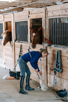 Woman in riding boots cleans a wooden stable with horses inside. Organized and tidy stable environment.