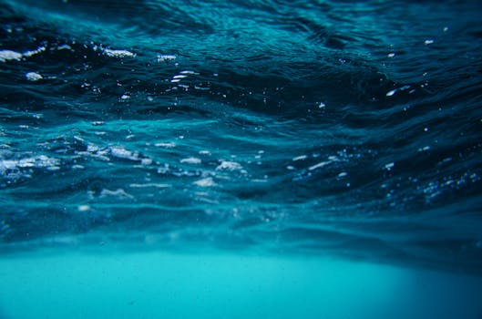 Picture for: Under the Sea