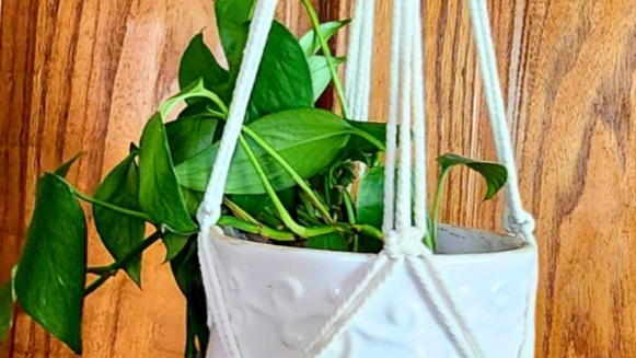 Course Macramé Plant Hanger Workshop image 1