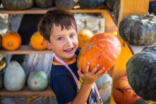 A joyful child holds a pumpkin at an autumn harvest festival, celebrating the season.