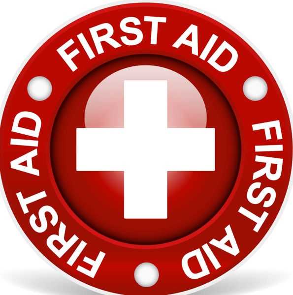 Picture for: Pediatric First Aid & CPR/AED Adult/Child/Infant - Hybrid Skills Check