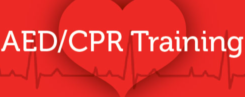Picture for: Adult/Child/Infant CPR/AED - Ages 18 and Older