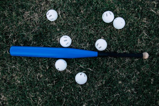 Picture for: Backyard Wiffle Ball