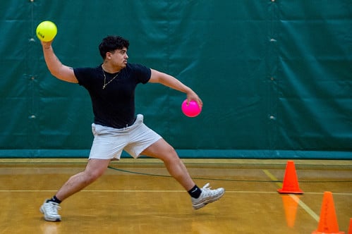 Picture for: Dodgeball