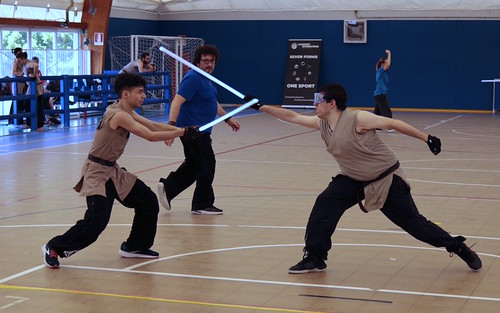 Picture for: Lightsaber Fencing: The 7 Forms