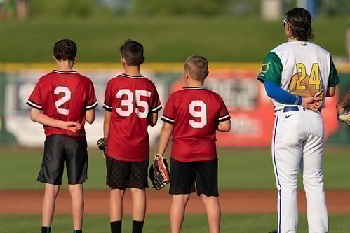 Picture for: In-House Baseball