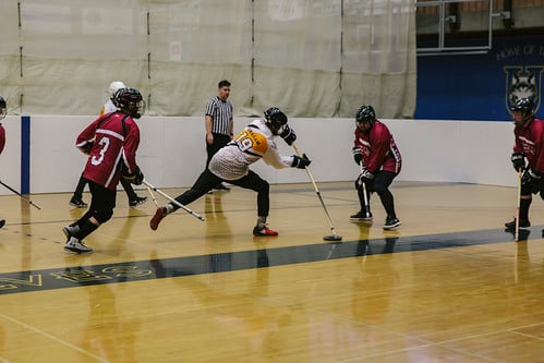 Picture for: Floor Hockey