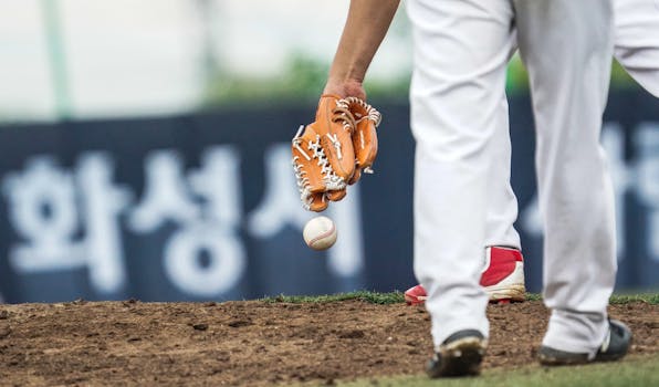 Picture for: St. Cloud Rox Baseball Game Experience