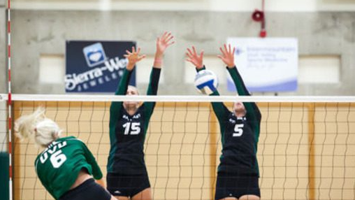 Picture for: Cardinal Volleyball Positional Training: Middle and Right Side Blockers/Hitters