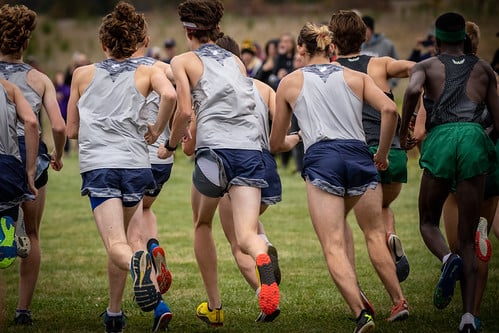 Picture for: Cross Country