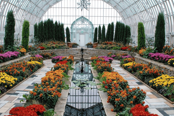 Picture for: Como Conservatory Guided Tour
