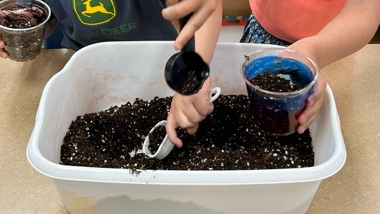 Picture for: Explore S'more: Bugs, Butterflies, & Beyond